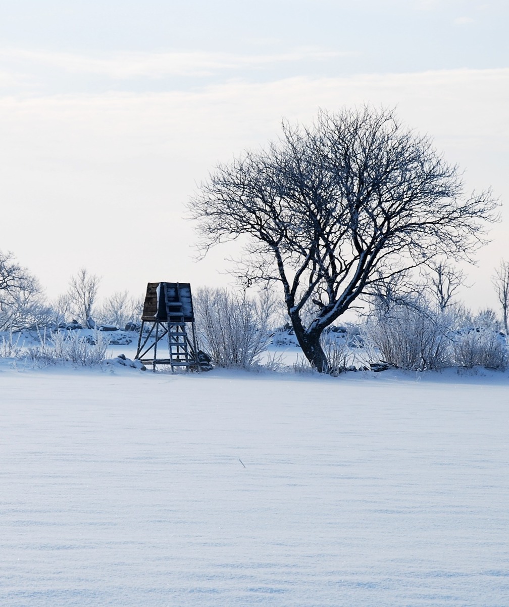 header-varma-vantar-desktop