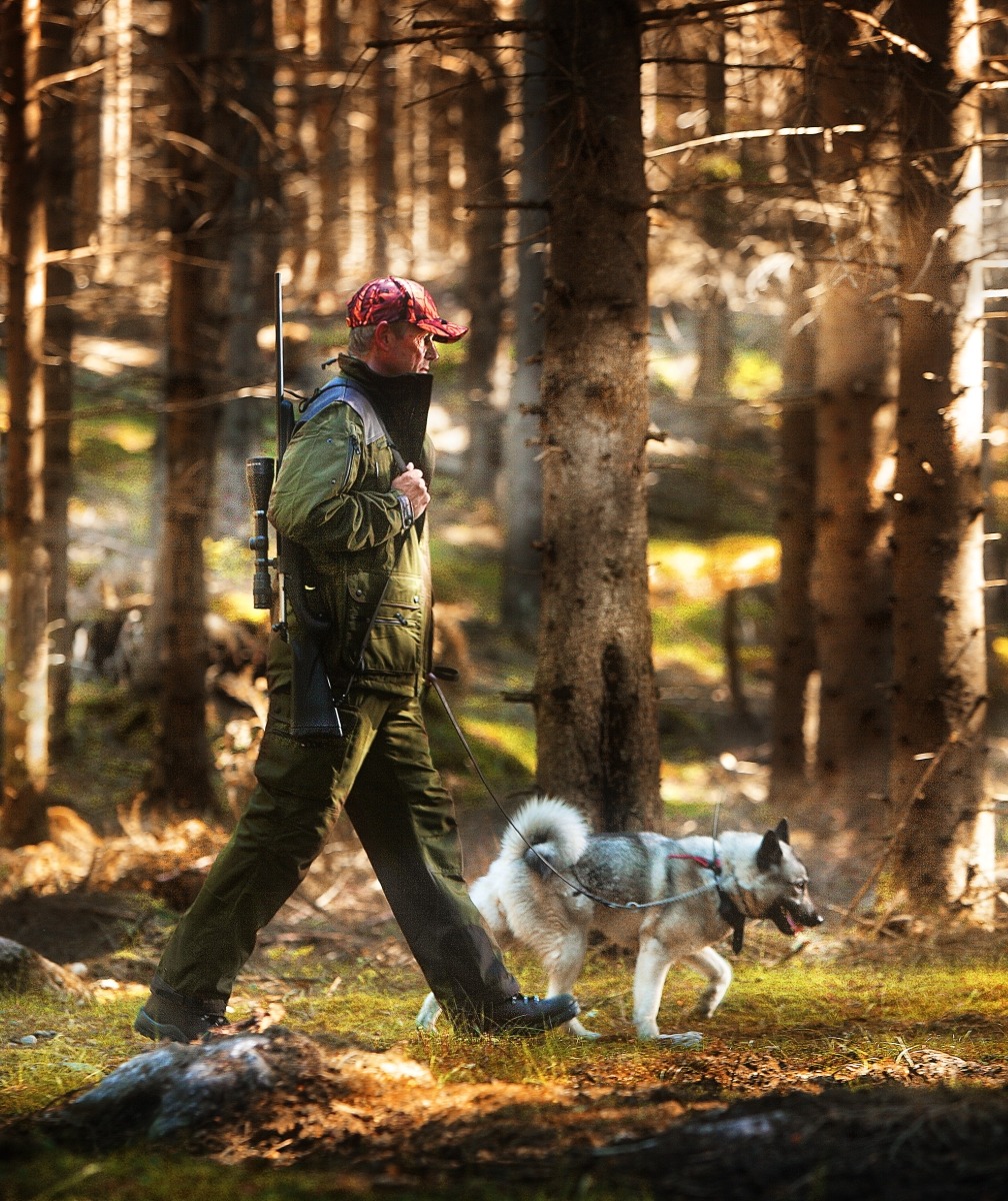 header-latta-jaktkangor-desktop