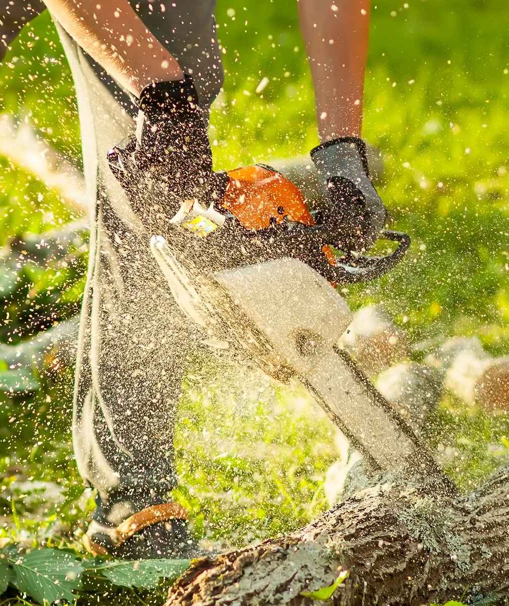 header-basta-motorsagen-desktop