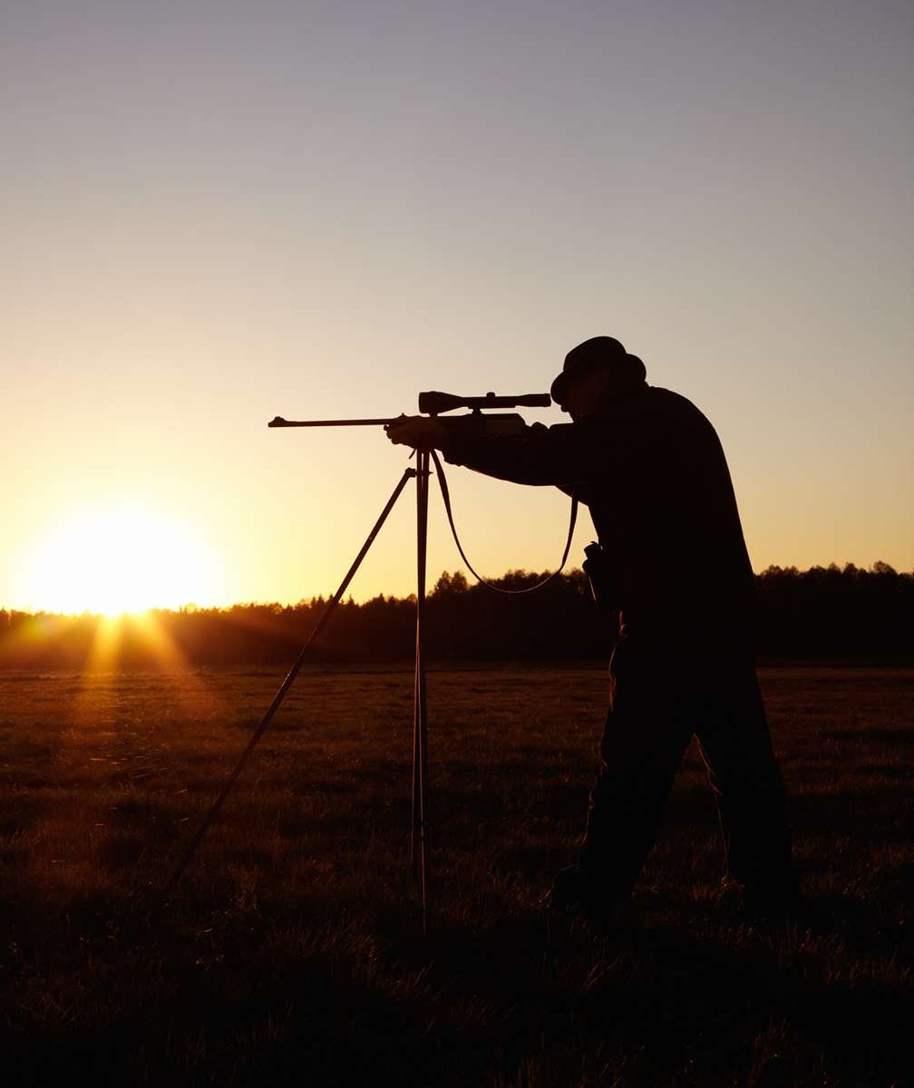 header-basta-skjutstodet-desktop