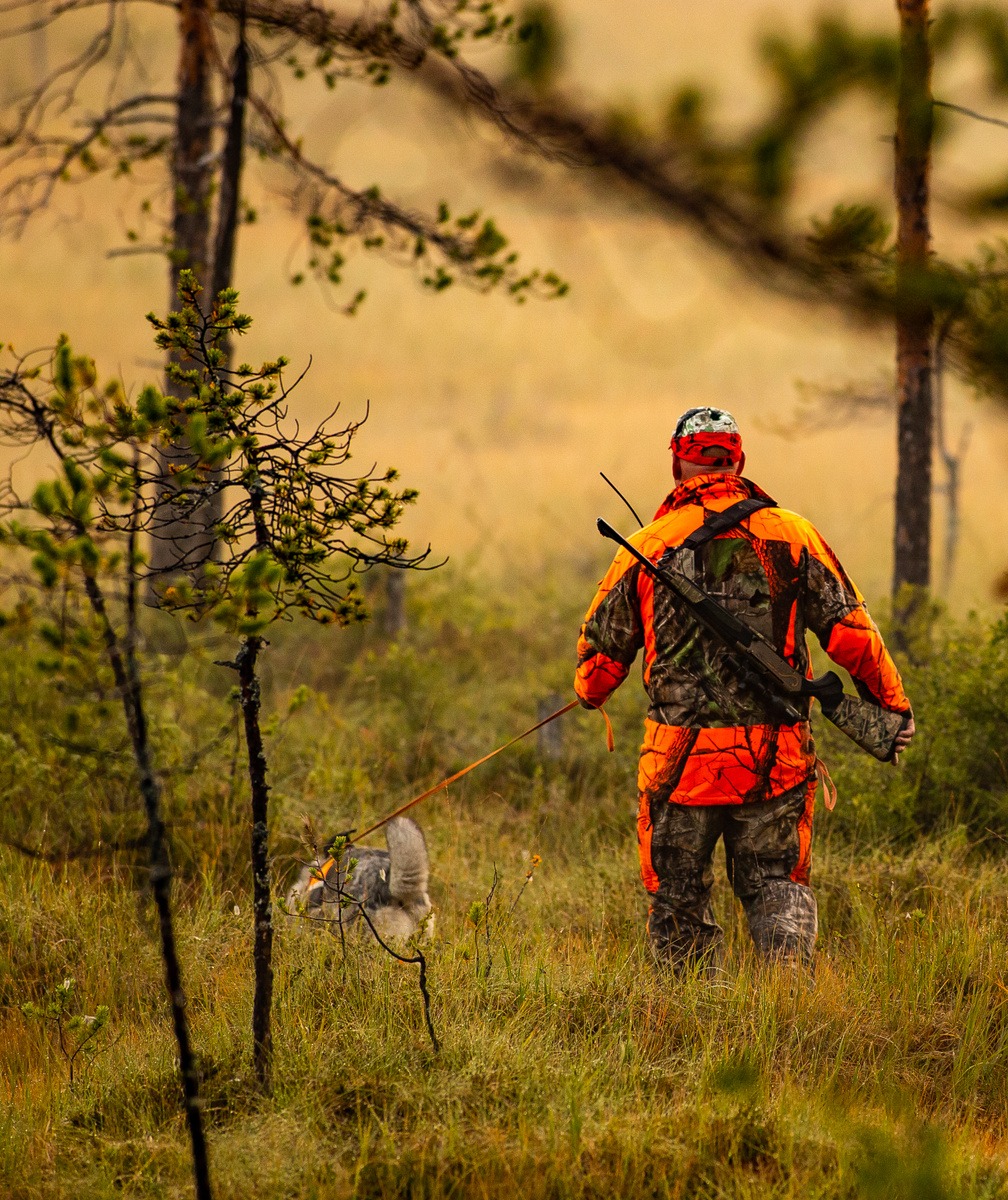 header-spara-med-hund-desktop